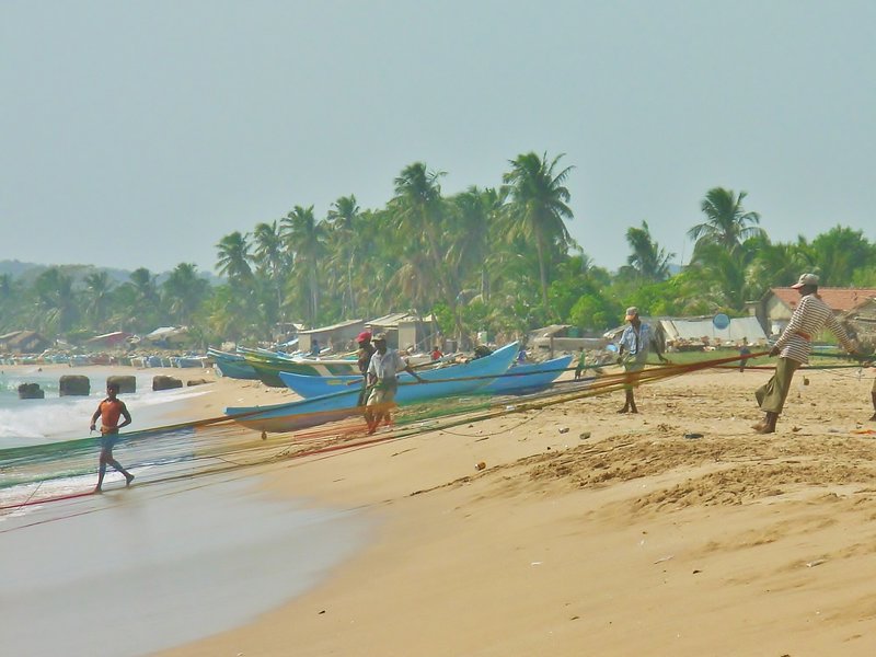 Hauling a net, Uppaveli beach