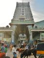 100 East gate of Arunachaleswar temple,Tiruvannamalai
