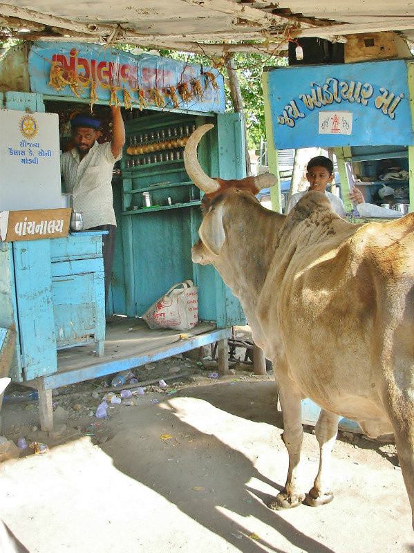 Not a milk delivery at chai vendors