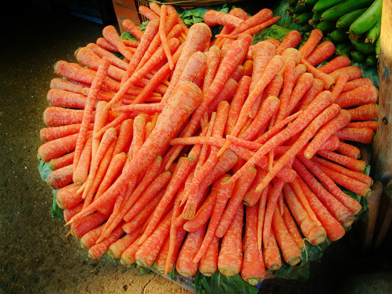 Carrots; big carrots