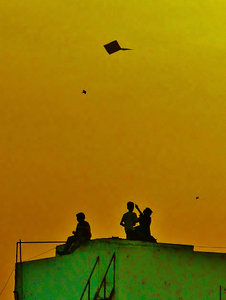 Nagpur rooftop