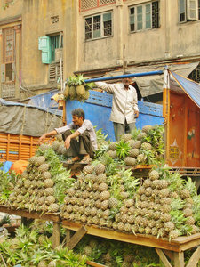 Pineapple sellers, Kolkata