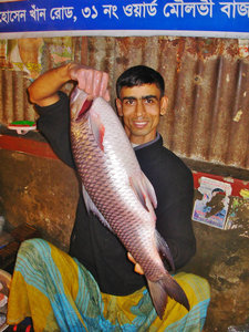 Dhaka fish market