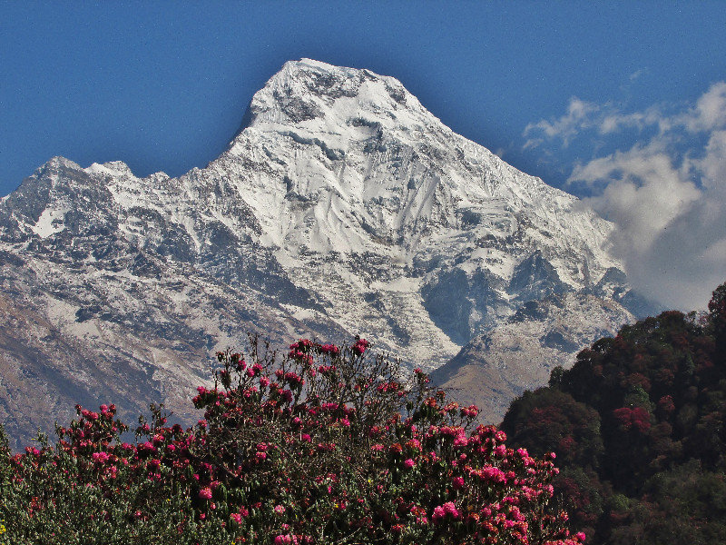 Annapurna range from Hilltop guesthouse, Ghorepani