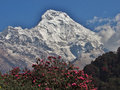 Annapurna range from Hilltop guesthouse, Ghorepani