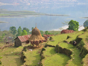 North end of Phewa Tal lake, Pokhara