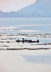 Fish cages on north end of Phewa Tal lake, Pokhara