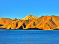 Pangong Lake, Ladakh