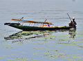 Dal Lake fisherman