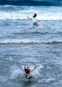 Lola and Juno enjoy the waves