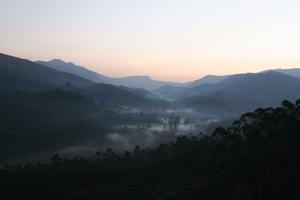 Morning mists in Munnar