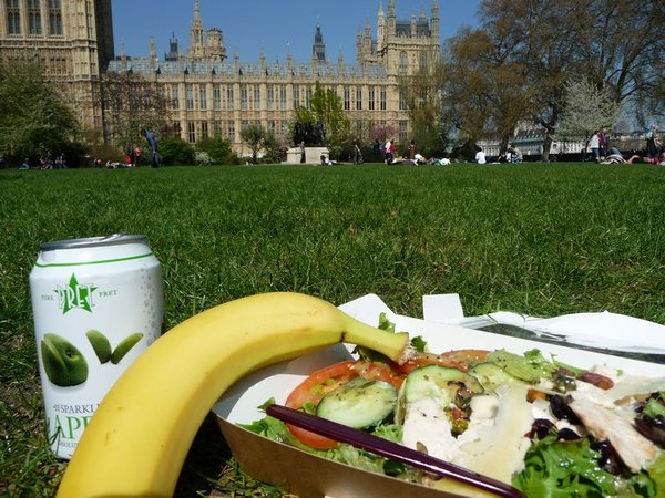 Lunch at Houses of Parliament