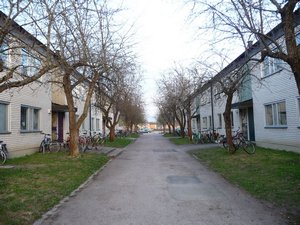 Typical student type living in Uppsala