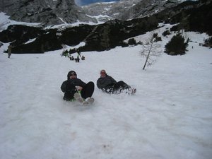 Snow toboggan races