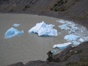 Glacier Grey mimi icebergs