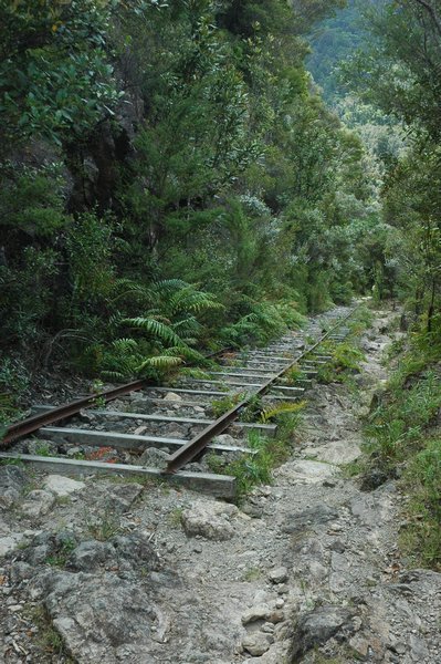 Pinnacles Walk - old transport line