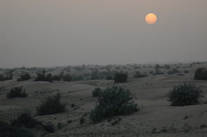 Desert sunset