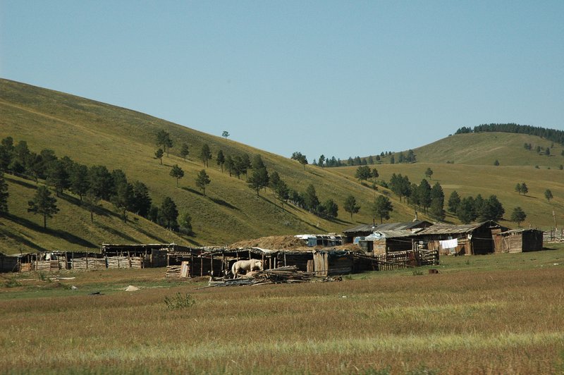 Mongolian ranch?