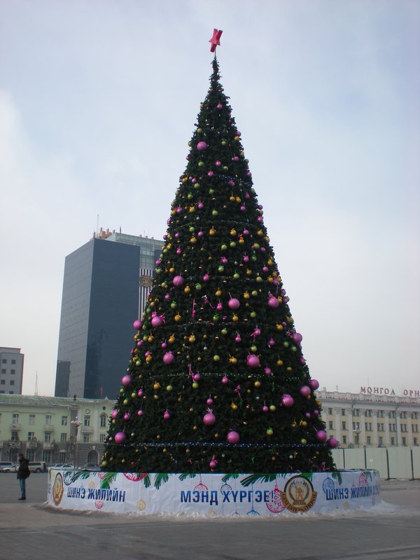Tree in Sukhbaatar Square