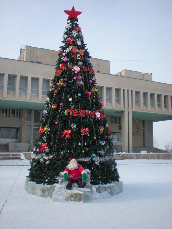 Darkhan Christmas Tree