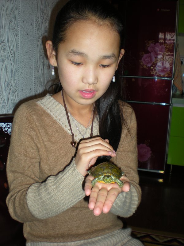 Saruul's niece with pet turtle