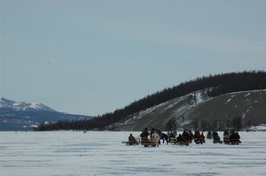 Horse sled race