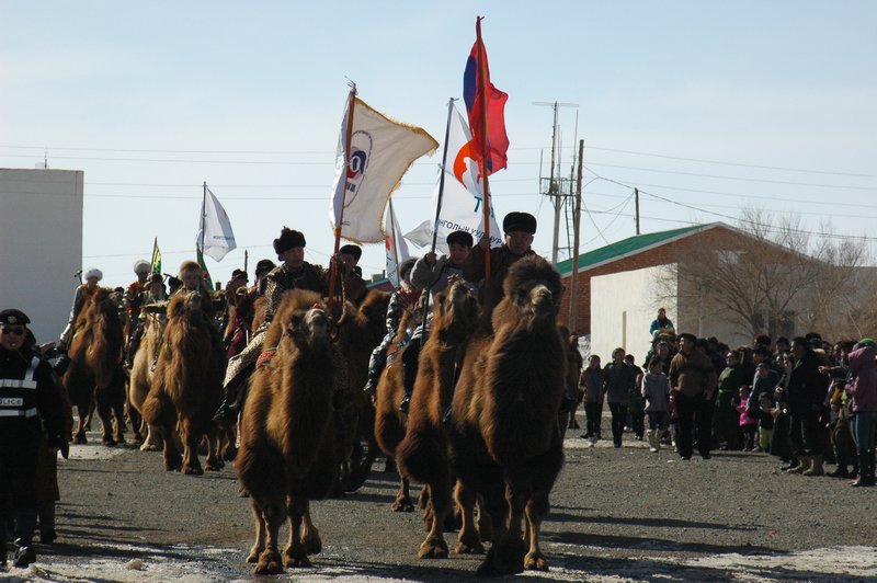The camel parade