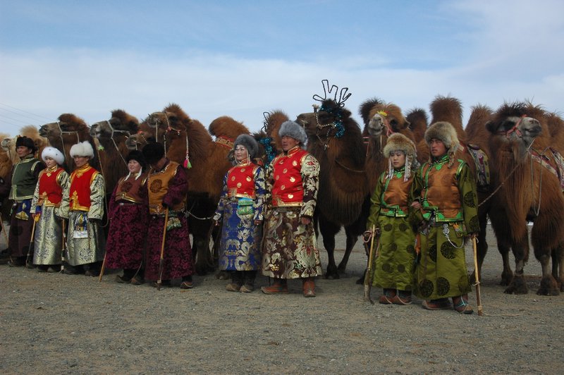 Camel fashion parade