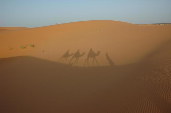 Sahara sunrise III