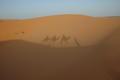 Sahara sunrise III