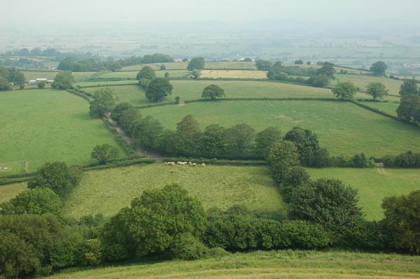 View from Glastonbury Tor