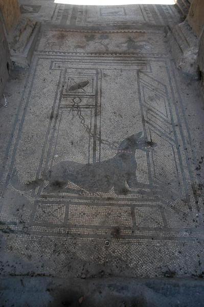 Pompei Mosaic