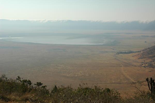 Ngorongoro crater I