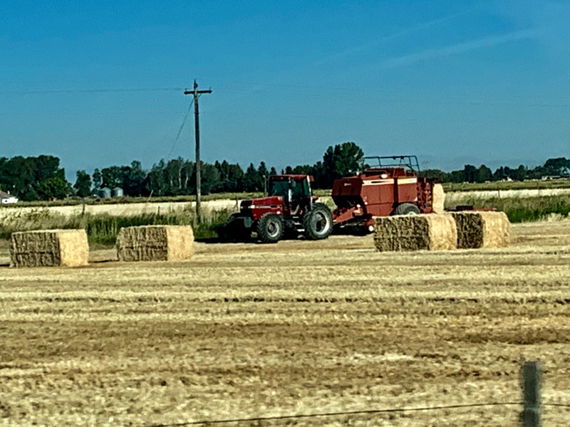 Idaho farming