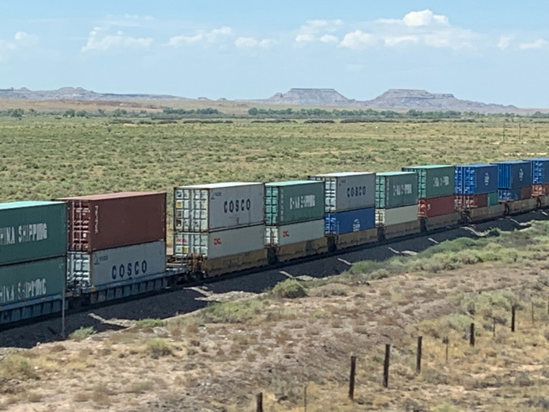 Train  going through The Petrified Forest & Painted Desert