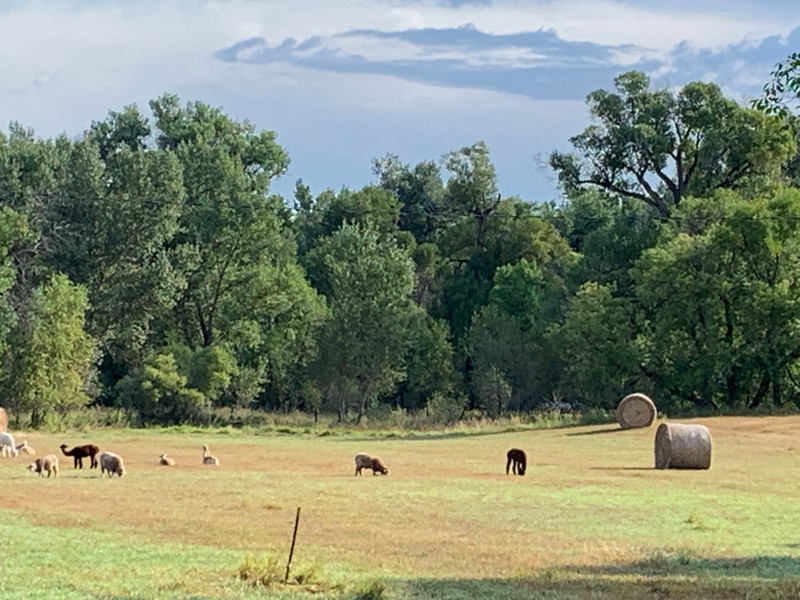 Neighboring Farm near Ranchester, Wyoming