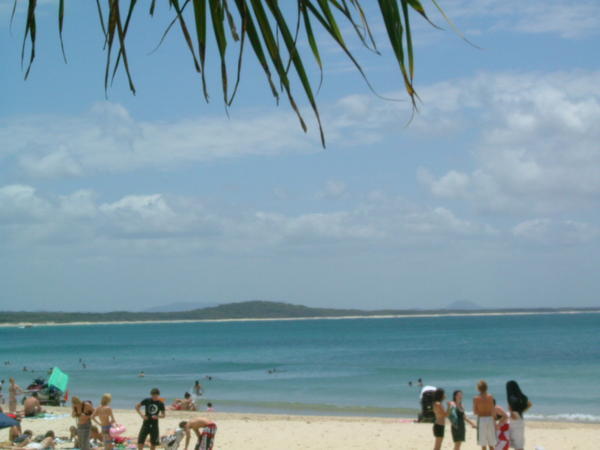 Noosa's Beach