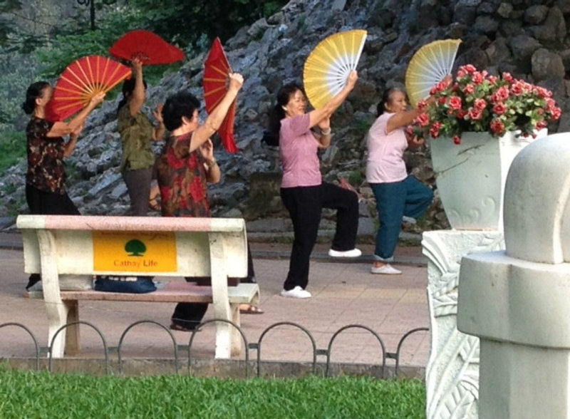 Tai Chi with fans in Hanoi