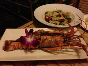 Lobster final dinner