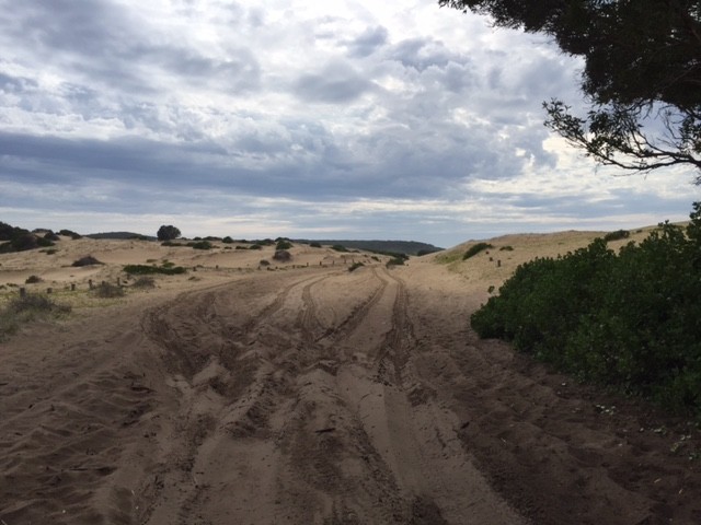 Track to Samurai Beach