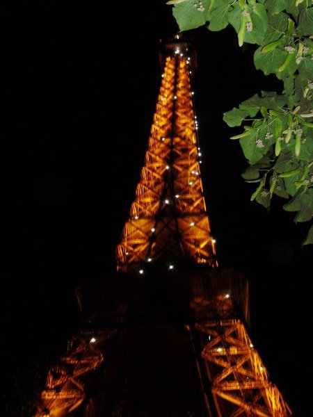 The Sparkling Eiffel Tower