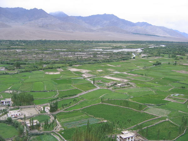 Indus River valley