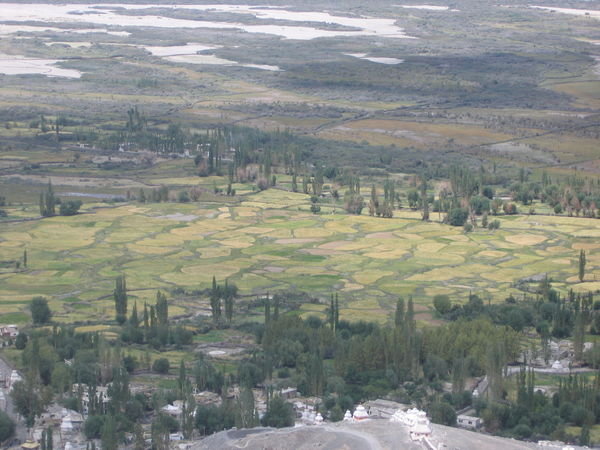 Nubra valley fields and river