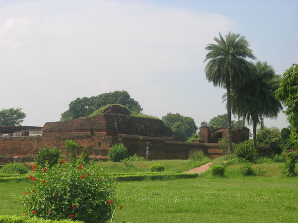 Nalanda landscape