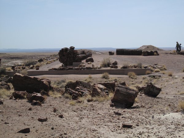 Looking over Petrified Forest