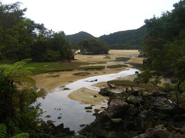 A View from the Abel Tasman Coastal Tramp