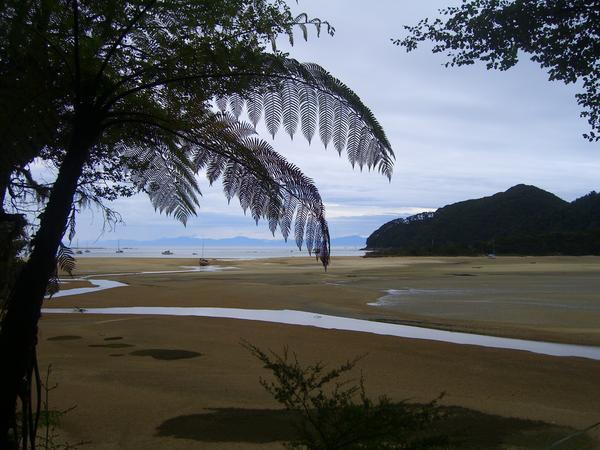 Yet Another View from the Abel Tasman Coastal Tramp