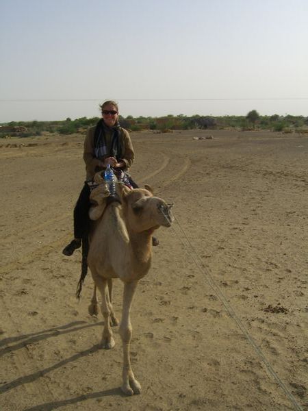 All aboard - camel safari!