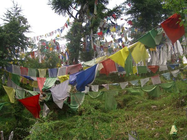 Tibetan Pray Flags