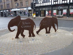 Colchester Elephants